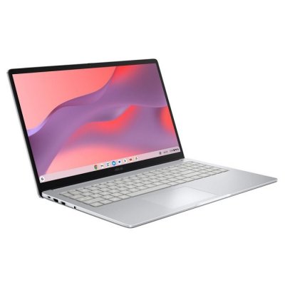 ASUS Chromebook C1 CX1505CTA-DRF70374 15,6"" Intel Core 3 16 Go RAM 256 Go eMMC Gris
