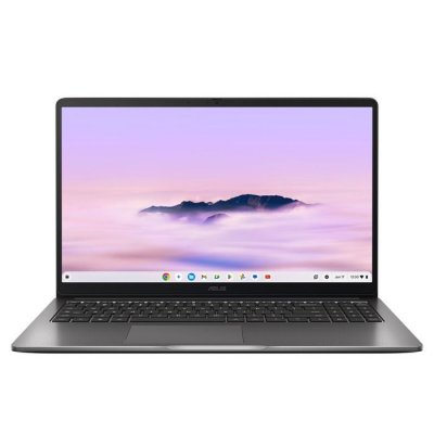 ASUS Chromebook C1 CX1505CTA-TV0417 15,6"" Full HD 60 Hz Intel Core 3 8 Go RAM 128 eMMC Gris