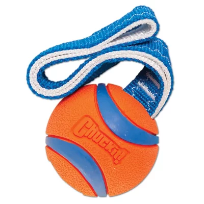 CHUCKIT ! Ultra tug L - Balle en caoutchouc &Oslash; 7,5cm - Pour chien