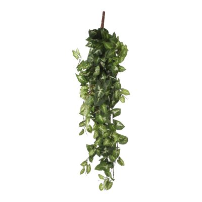 Chute de Fittonia artificiel 80 x 30 x h.15 cm