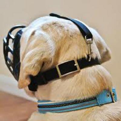 GENERIQUE Cie Animals - Museli&egrave;re Baskerville Ultra Muzzle - Taille 4