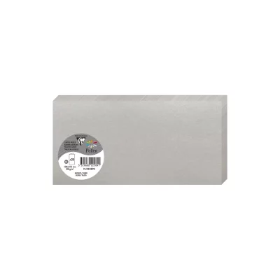 POLLEN BY CLAIREFONTAINE Clairefontaine Carte 210g Pli&eacute;e 106x213 Argent Pqt 25