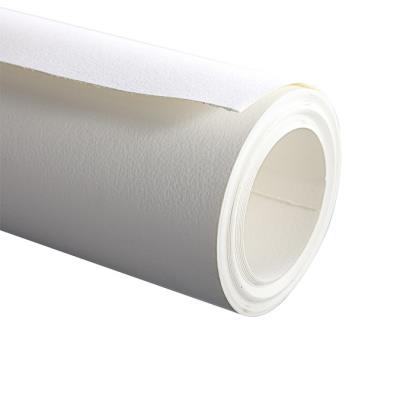 CLAIREFONTAINE  Dessin Croquis rouleau 1,5x10m 160g - Blanc