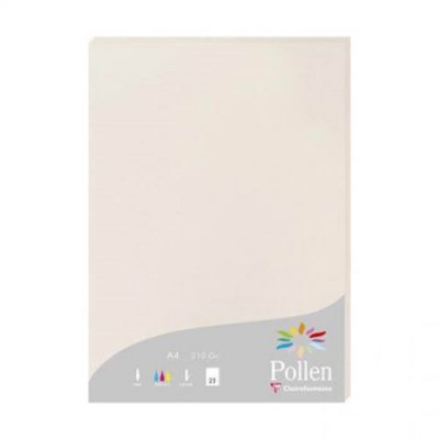 PICWIC TOYS Clairefontaine Etui De 25 Feuilles 210x297 Gris Perle 210g
