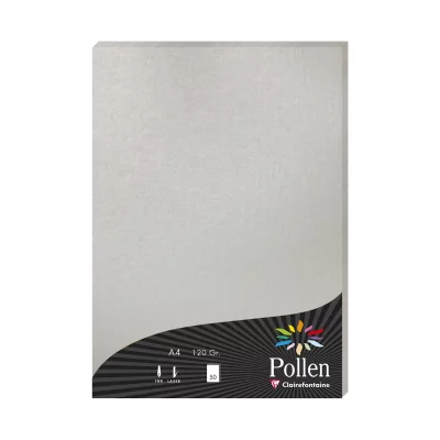 POLLEN BY CLAIREFONTAINE Clairefontaine Etui De 50 Feuilles 210x297 Argent 120g
