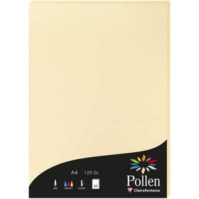 CLAIREFONTAINE  Etui De 50 Feuilles 210x297 Chamois 120g