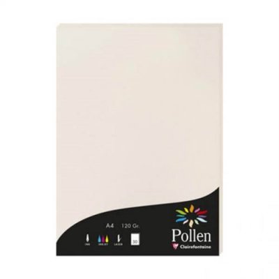 PICWIC TOYS Clairefontaine Etui De 50 Feuilles 210x297 Gris Perle 120g