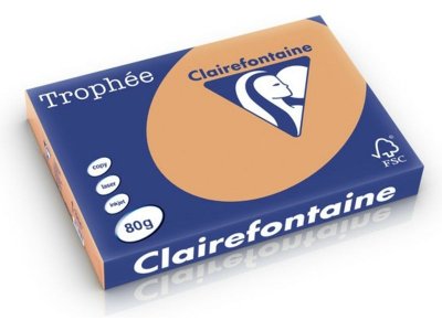 CLAIREFONTAINE  Papier universel Troph&eacute;e, A3, 80 g/m2, caramel
