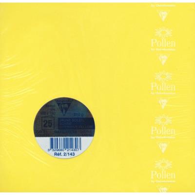 CLAIREFONTAINE  Paquet de 25 cartes pli&eacute;es Pollen 160x160mm 210g/m2 - Soleil - Lot de 2