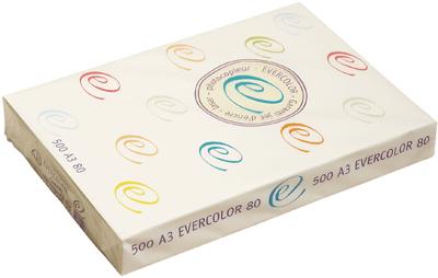 CLAIREFONTAINE  - Ramette Papier Evercolor Recycle A3 80g Jaune