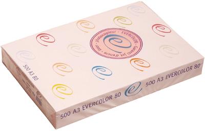 CLAIREFONTAINE  - Ramette Papier Evercolor Recycle A3 80g Rose