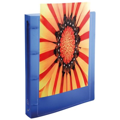 EXACOMPTA Classeur  Kreacover 4 annx en D 32x25cm polypro Opaque Dos 20mm Coloris assortis