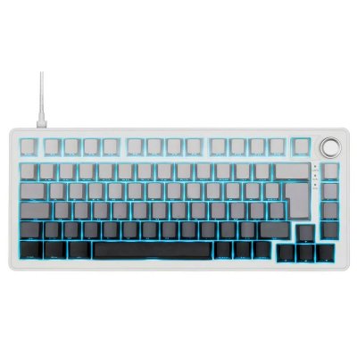 THE G LAB Clavier PC The G-LAB Keyz Elite 300 GRW - Sans fil - Blanc/Gris