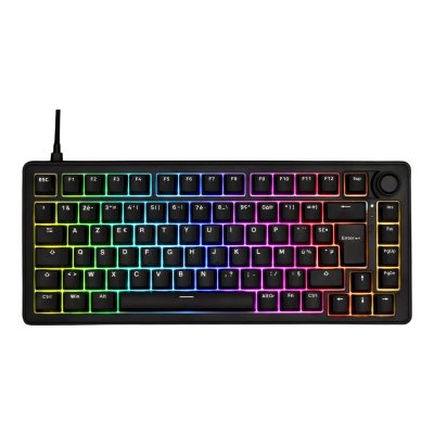 THE G LAB Clavier PC The G-LAB Keyz Elite 300 HE - Filaire - Noir