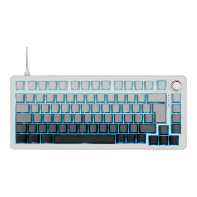 THE G LAB Clavier PC The G-LAB Keyz Elite 300 HE GRW- Filaire - Blanc