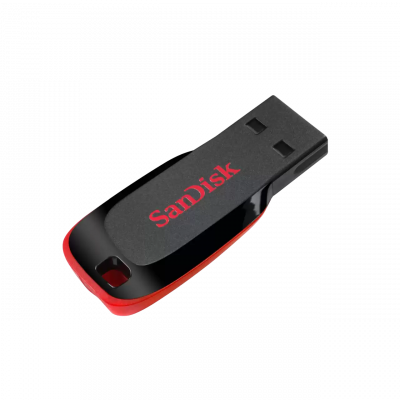 SANDISK Cl&eacute; USB 2.0  128 Go