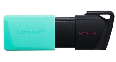 KINGSTON Cl&eacute; USB Technology DataTraveler Exodia M DTXM/256GB USB 3.2 Gen 1 - avec capuchon