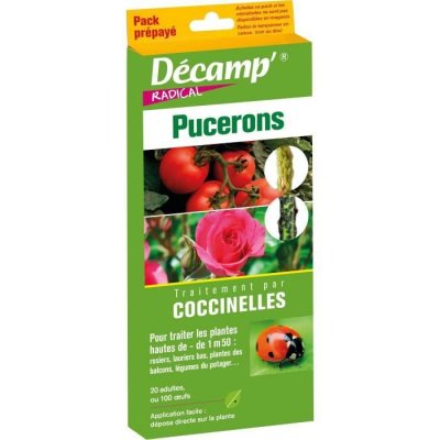FABRE GRAINES Coccinelle septempunctata pour arbre de - de 1m50 