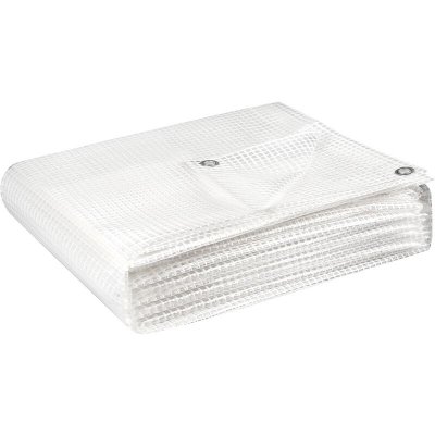 COGEX  82673 b&acirc;che arm&eacute;e 160 g 4 x 5 m transparent