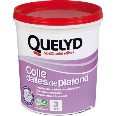 QUELYD Colle rev&ecirc;tements pour murs et plafonds 1kg  