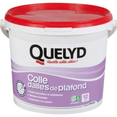 QUELYD Colle rev&ecirc;tements pour murs et plafonds 4kg  