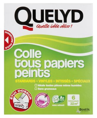 QUELYD Colle tous papiers peints 300 g