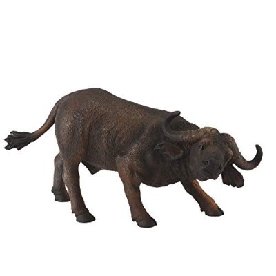 COLLECTA  African Bufalo Figure Noir 3-6 Years