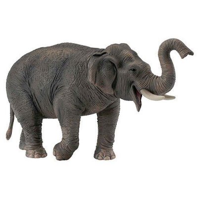 COLLECTA  Asian Elephant Figure Gris 3-6 Years 