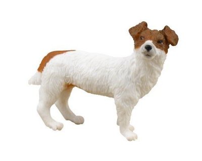 FIGURINES COLLECTA Collecta - Col88080 - Jack Russell Terrier - Taille S