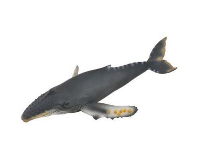 COLLECTA  - Col88347 - Baleine &Agrave; Bosse - Taille XL
