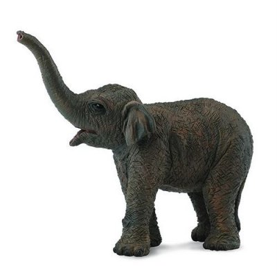 FIGURINES COLLECTA Collecta - Col88487 - El&eacute;phanteau D'asie - Taille S