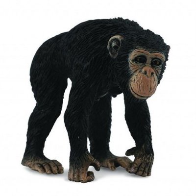 COLLECTA  - Col88493 - Chimpanz&eacute; Femelle - Taille M