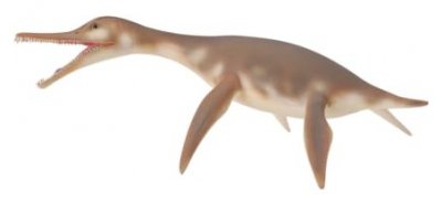 COLLECTA  Dolichorhynchops Figure Gris 3-6 Years