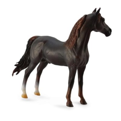 COLLECTA  - &Eacute;talon Morgan - Ch&acirc;taignier -XL - 88647 (90188647)