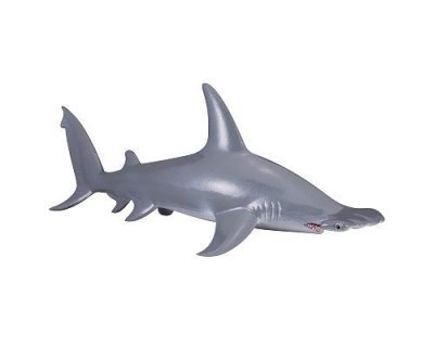 COLLECTA  Hammerhead Shark Figure Bleu 3-6 Years