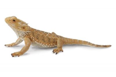 COLLECTA  insectes : l&eacute;zard dragon barbu 13,5 cm marron 