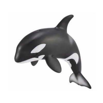 COLLECTA  Orca Breeding Figure Noir 3-6 Years