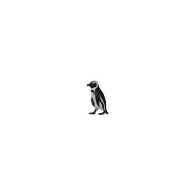 FIGURINES COLLECTA Collecta Penguin Figure Noir 3-6 Years
