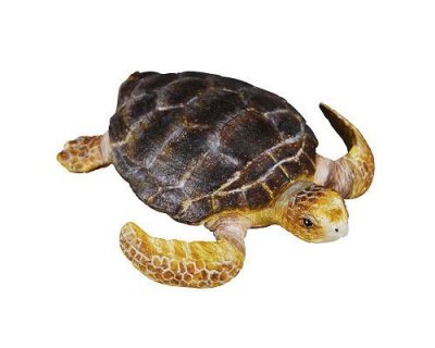 COLLECTA  Tortue Marine Animaux 7 X 1 cm