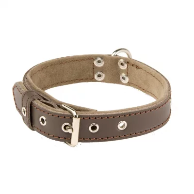 ALTEREGO Collier pour chien Alter Ego Sportswear