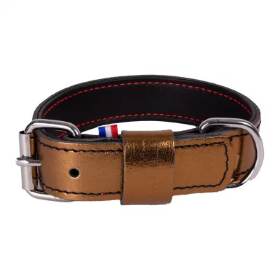 MARTIN SELLIER Collier Pour Chien En Cuir  Dakota 25/45 Cm Mixte Dor&eacute;