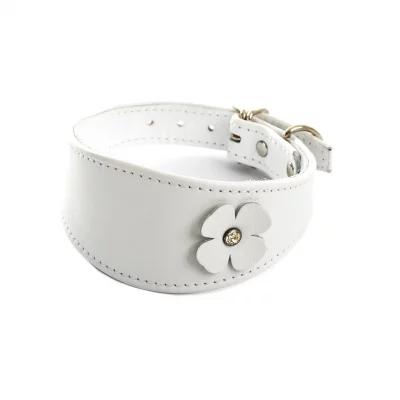 SELLERIE CANINE VENDEENNE Collier pour chien Sellerie Canine Vend&eacute;enne Lev Tref