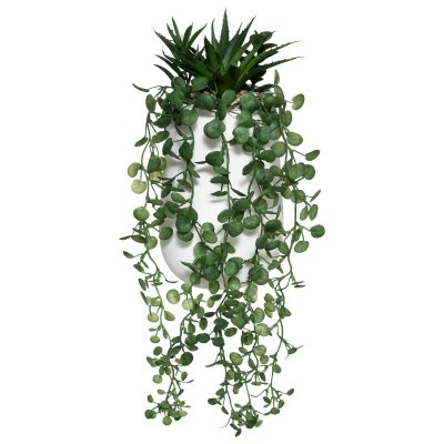 COMPOSITION PLANTE GRASSE RETOMBANTE 33CM  Vert, Anis, Menthe, Eau