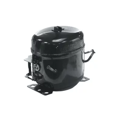 BOSCH Compresseur R600A pour refrigerateur  00141311