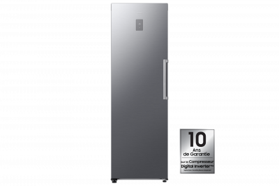 SAMSUNG Cong&eacute;lateur Armoire RZ70H32HDTEF 323L Gris