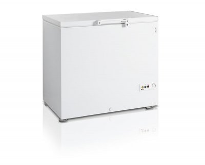 TEFCOLD Cong&eacute;lateur Coffre FR305  