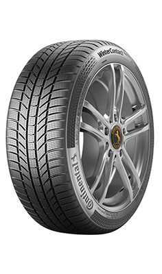CONTINENTAL  WinterContact TS 870 P ( 255/30 R19 91W XL EVc )