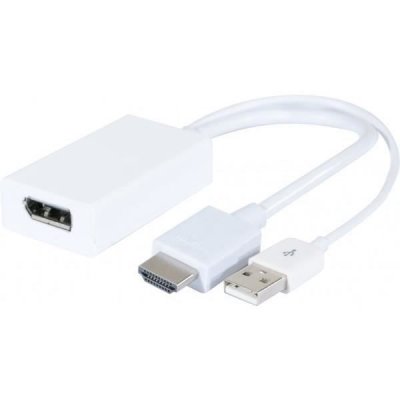 GENERIQUE Convertisseur HDMI vers DisplayPort & alimentation USB