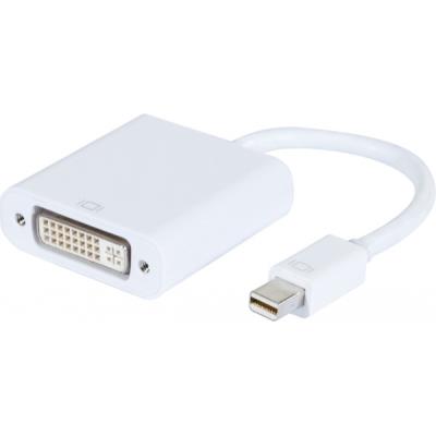 GENERIQUE Convertisseur mini displayport 1.1 vers dvi-d plastique