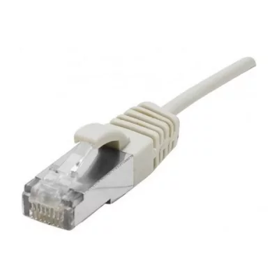 DEXLAN Cordon Patch Blind&eacute; Rj45 Fin Gris 1m Cat 6a S/ftp Lsoh Sng